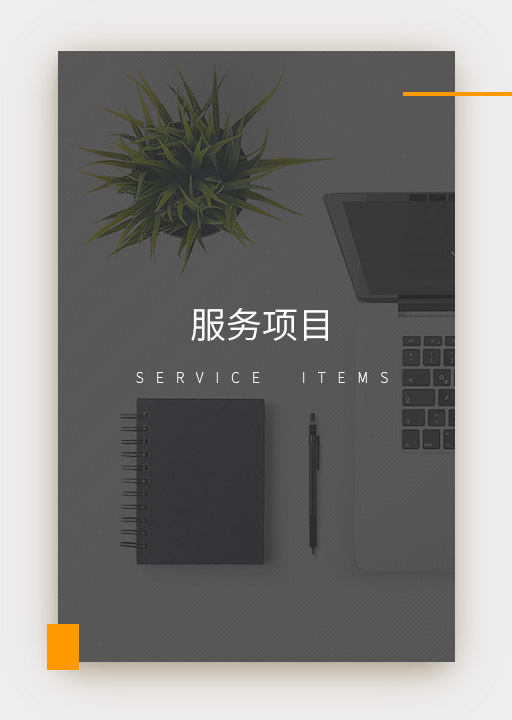 服务项目